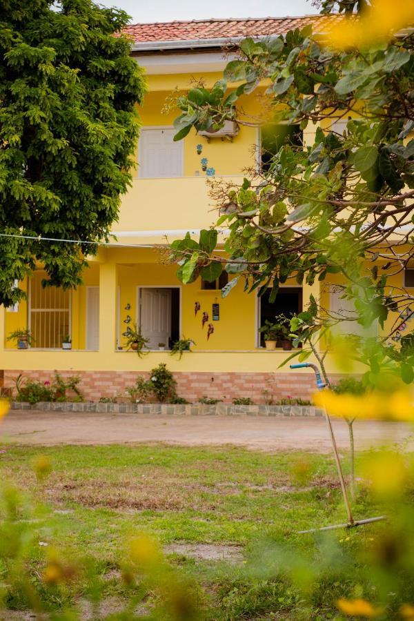Pau Brasil Ilha de Comandatuba